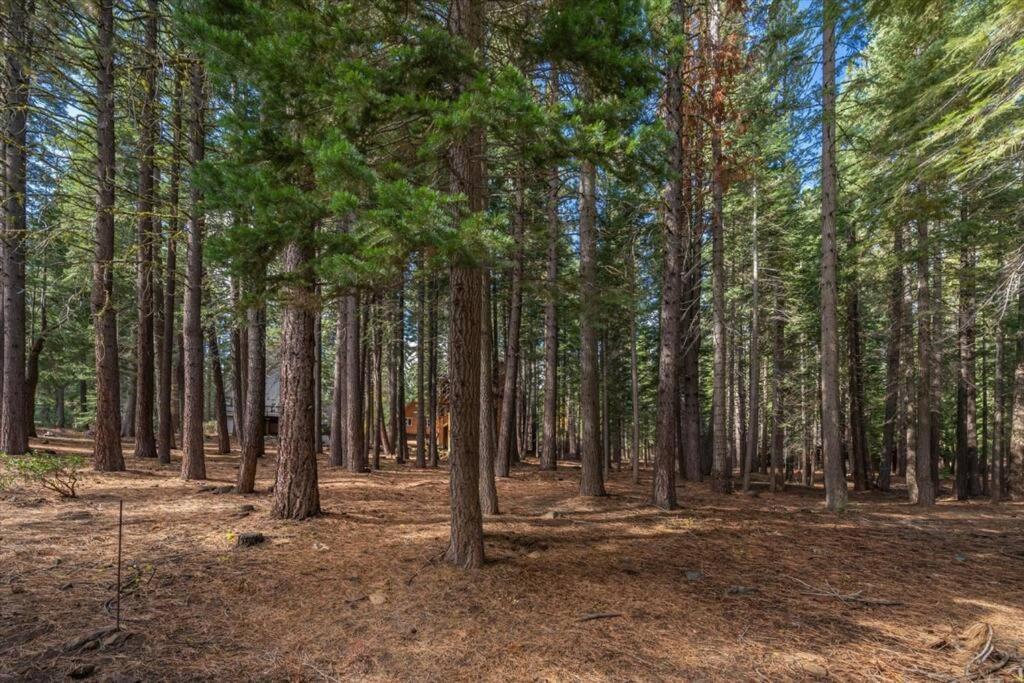 3Br Tahoe Donner Cabin With Hoa Perks Like Pools Hot-Tub Minutes To Trails Lake Golf Truckee Zewnętrze zdjęcie